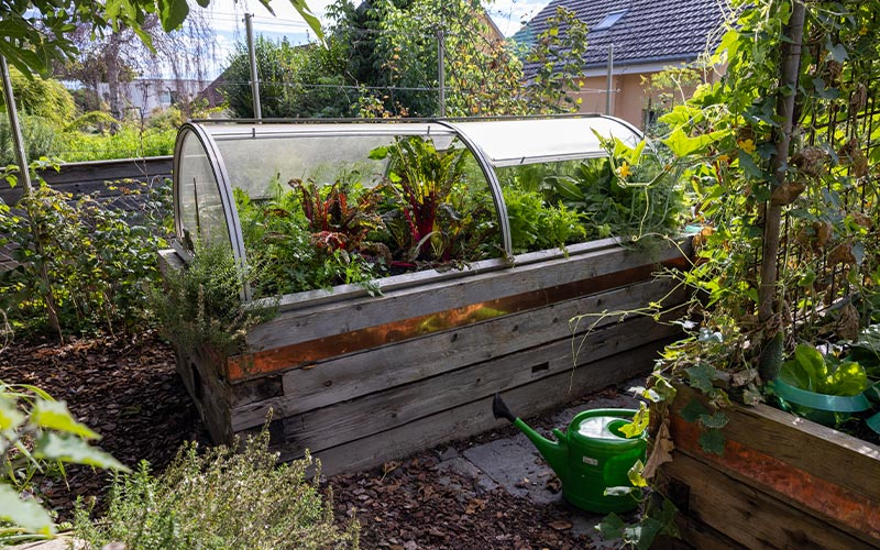 Hochbeet mit Gemüse im naturnahen Garten